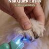 Cat nail clipper, dog nail trimmer with blood line indicator, illuminated pet nail cutter for beginners and pets