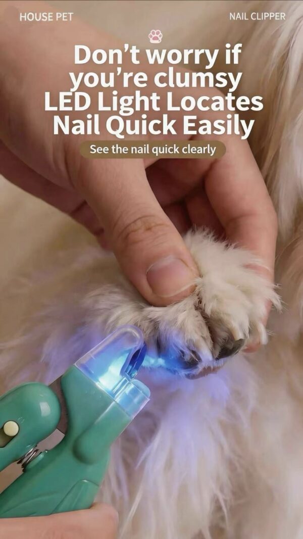 Cat nail clipper, dog nail trimmer with blood line indicator, illuminated pet nail cutter for beginners and pets