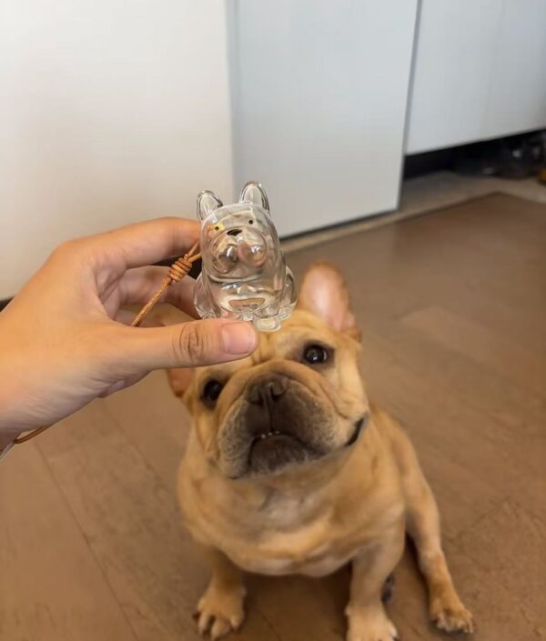 French Bulldog Custom Hair Storage Keepsake Capsule Car Hanging Bag Pendant Pet Hair Memorial Ornament Birthday Gift