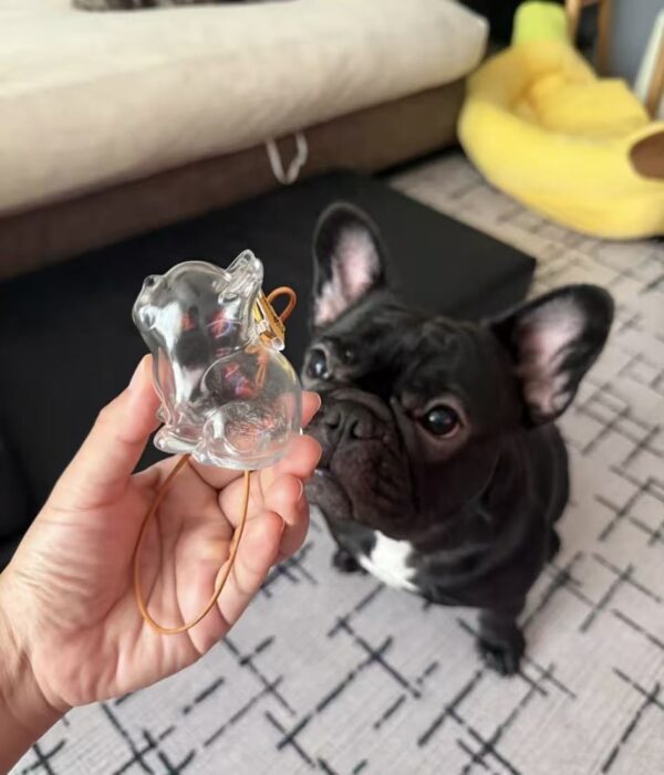 French Bulldog Custom Hair Storage Keepsake Capsule Car Hanging Bag Pendant Pet Hair Memorial Ornament Birthday Gift