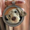 Pet leather carving